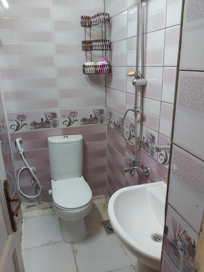 Otasho Nile View House Hotel Aswan Bagian luar foto